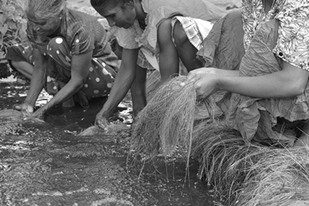 Washing Fibre